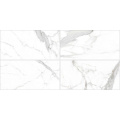 Kolasus Matte Vs Glossy Shower Bathroom with White Marble Tile